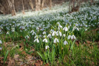 Прикрепленное изображение: под.jpg